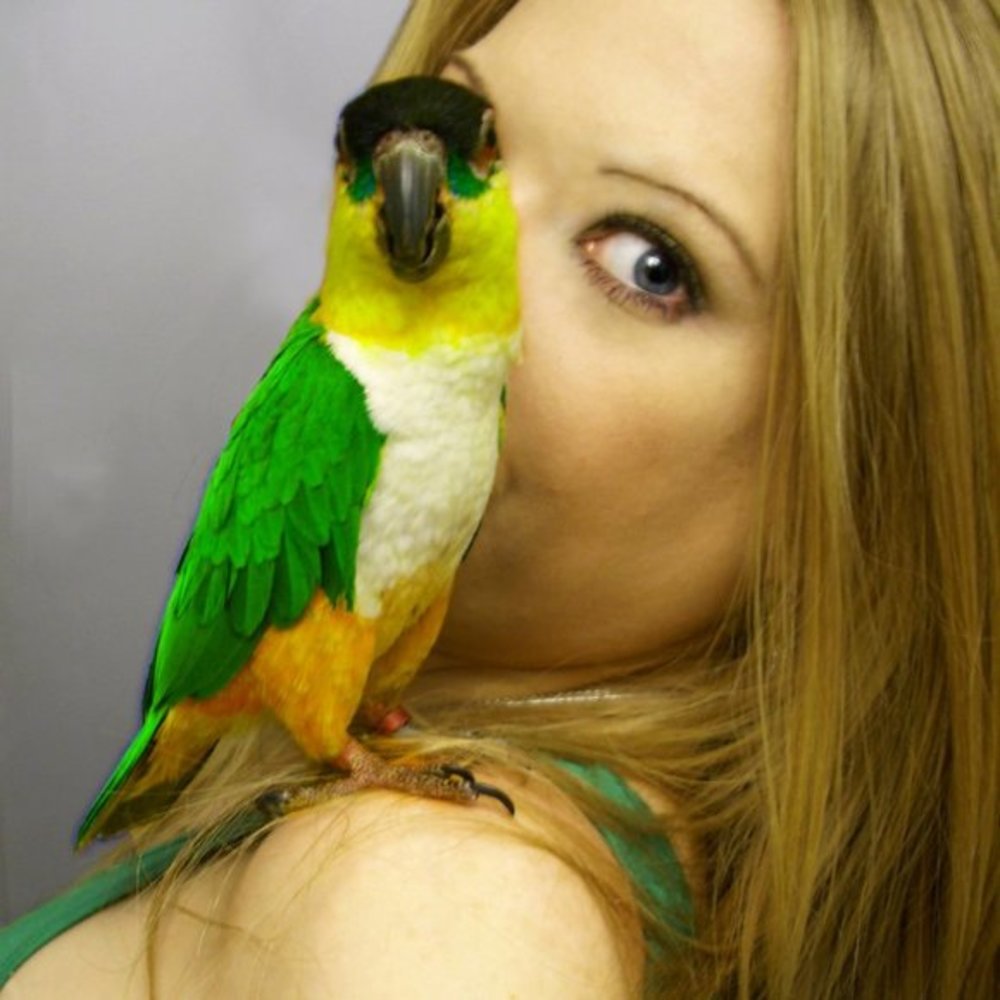 Meet your Posher, Spallin